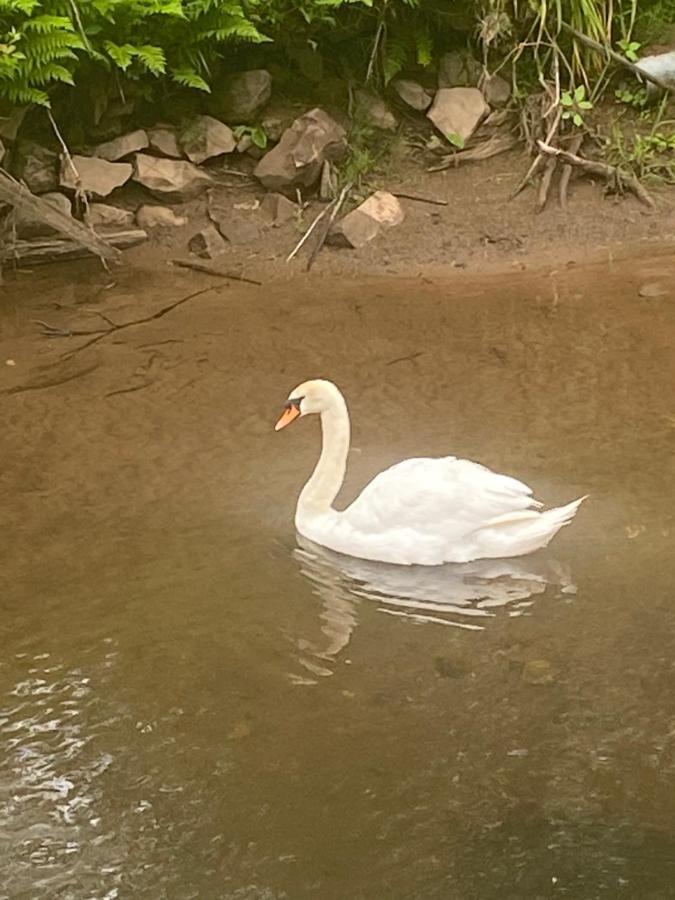 Riverbank Cottage Lake District Double Balcony Egremont  Esterno foto